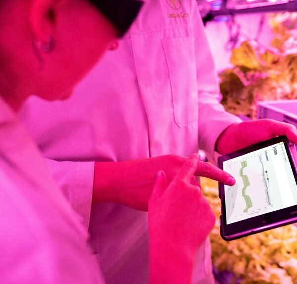 digital tools for growth