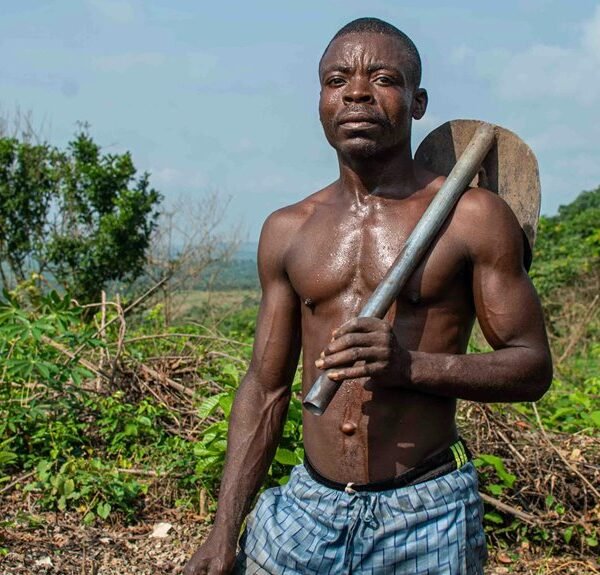 Strengthen Your Growth 500257841 Digital Tools