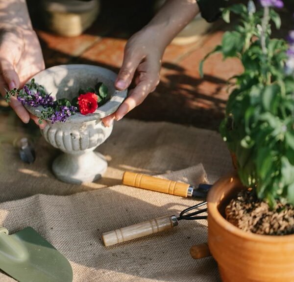 Optimize Your Growth 25347922 Digital Tools